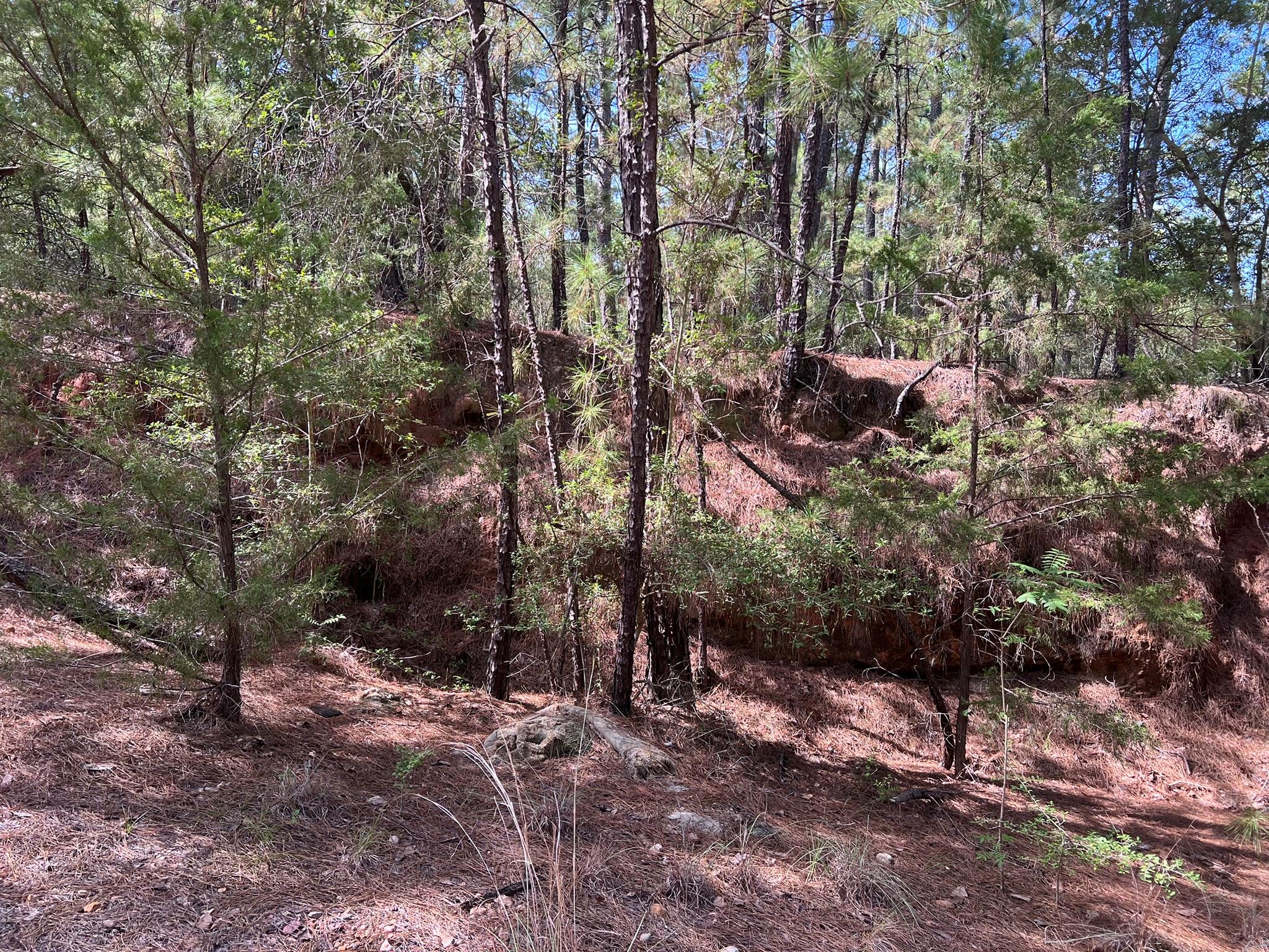 TBD Okoe CT — photo 5