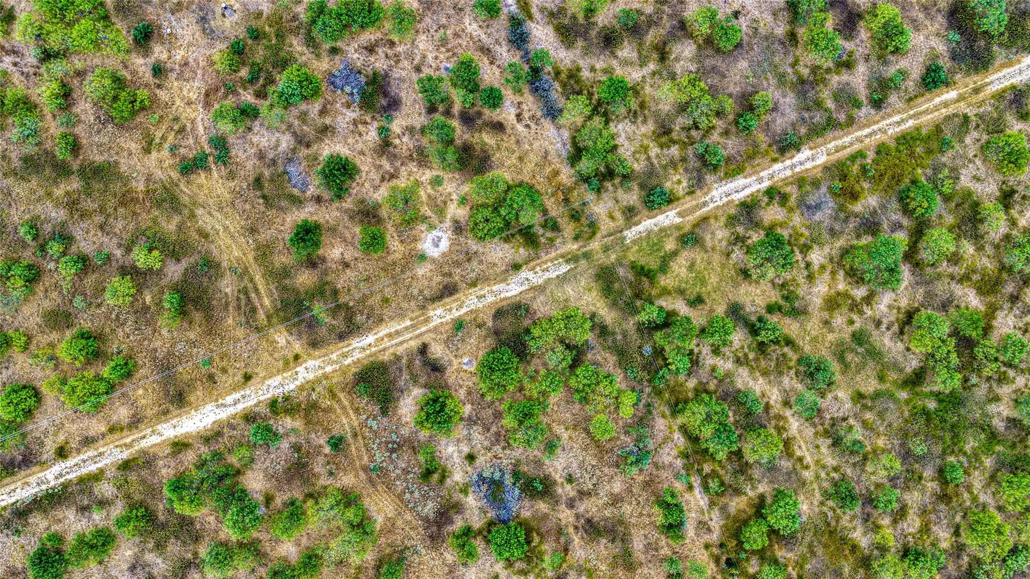 TBD County Road 414 — photo 4